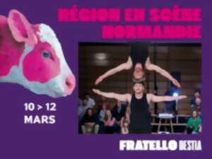 photo Cirque : Fratello - Bestia