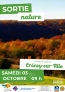 photo Sortie Nature : Couleurs d'automne