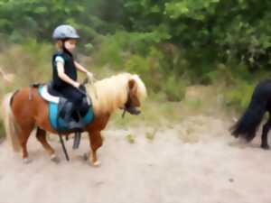 photo La forêt à poney !