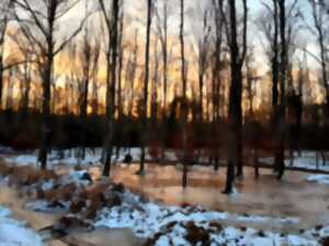 photo Les habitants des eaux troubles