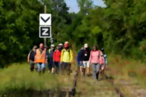 photo Découverte de la réhabilitation de la Ligne Ferroviaire 26