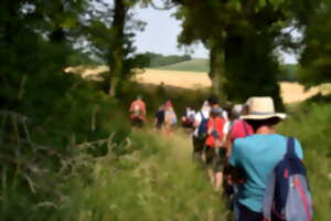 photo 13ème marche gourmande