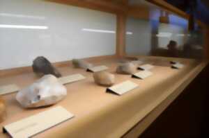 photo Balade découverte et visite de la Maison de la Préhistoire Othéenne