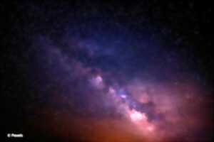 photo Balade nocturne : à la rencontre des merveilles de la nuit