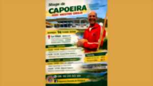 photo STAGE DE CAPOEIRA AVEC MESTRE GRILO – DÉCOUVERTE, PERFECTIONNEMENT, TECHNIQUE !