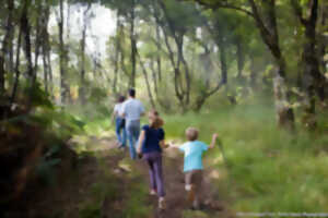 photo Randonnée gourmande