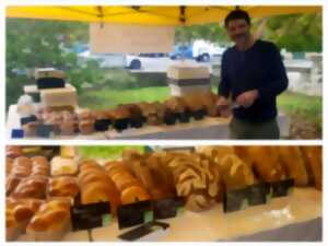photo Le marché de la Table du Renard Bleu