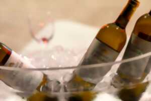 photo Afterwork Les Terrasses de La Garde