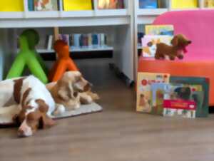 photo Lire avec les chiens