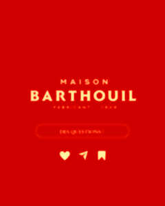 photo Visite musée maison Barthouil