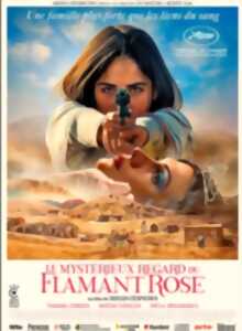 photo Cinéma Arudy : Le mystérieux regard du flamand rose VOSTFR