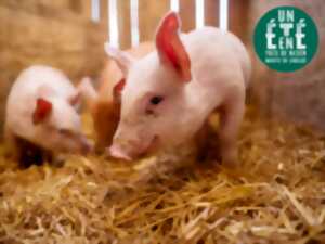 photo À la rencontre des producteurs - Au pré de mon arbre