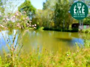 photo Sortie nature - La princesse et la grenouille