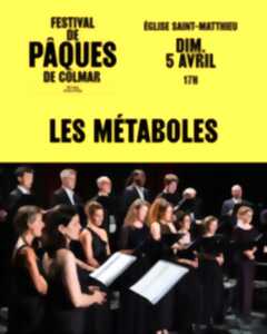 photo Les Métaboles : Ombres et Splendeur