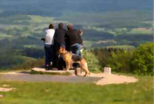 photo Toutou't'à pied : une balade qui a du chien à Bibracte !