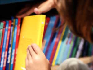 photo Atelier enfant - Des histoires sous les pins