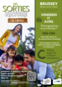 photo Sortie nature : Photographier le printemps
