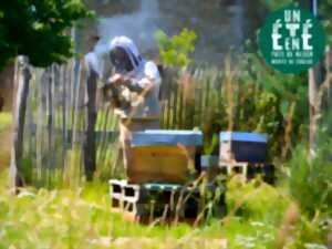photo À la rencontre des producteurs - La miellerie Paysages de Miels