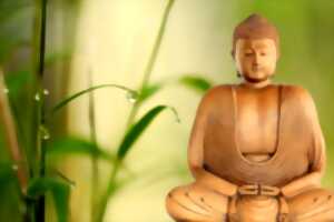 photo Stage de Chi Kong