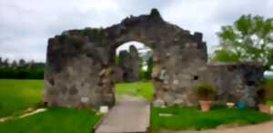 photo Labyrinthe - Châteaux en fête