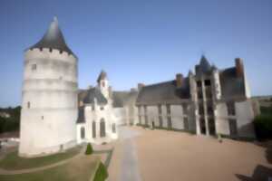 photo Spectacle de LADASSOL au château