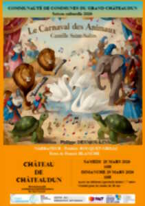 photo Concert - Le Carnaval des Animaux