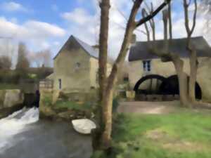 photo Moulin de Négreville : visite et fabrication de bouillie de sarrasin