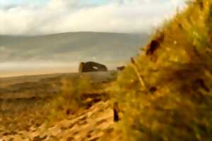 photo Collecte de déchets - Plage de Biville