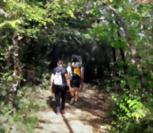 photo RANDONNEE NATURE SPECIALE PLANTES SAUVAGES