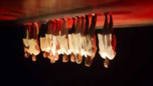 photo ANTIGONE SOUS LE SOLEIL DE MIDI