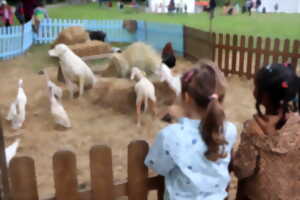 photo JOURNÉES NATURE THÈME 2026 : L'EAU