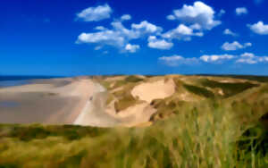 photo Dunes de la Slack et Pointes aux Oies - Promenade canine