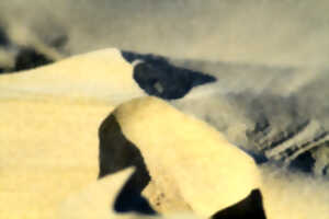 photo Dunes d'Ecault – La dune expliquée aux enfants