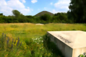photo Terril du Pays à Part et Terril des Falandes - La nature à l'accent minier