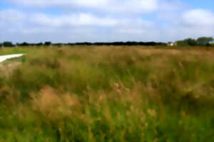 photo Pré communal d'Hardinghen - Les mille et une vies