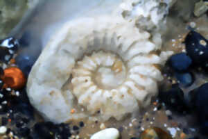 photo Cap Blanc-Nez - Le secret des roches