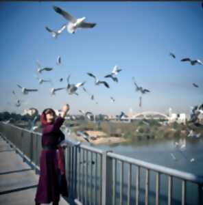 photo „WIMPERNSCHLÄGE ” BATTEMENTS DE CILS