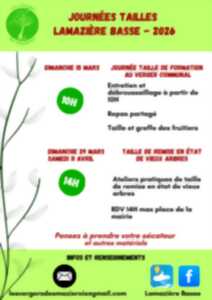 photo Journée taille au verger communal