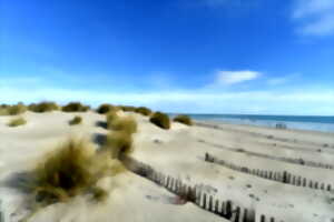 photo BALADE LITTORAL