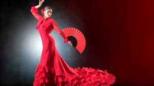 photo Soirée espagnole