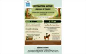 photo Stage équitation