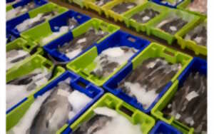 photo Visite Pays d’art et d’histoire : Le port de pêche et sa criée