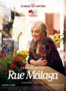 photo Cinéma Arudy : Rue Malaga VOSTFR