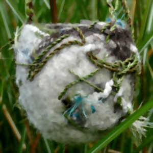 photo Stage de feutre de laine et tressage végétal