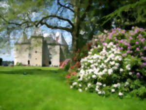 photo Limouzi Film Fest