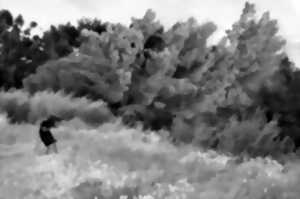 photo Sortie de résidence - Ateliers Misuk et Ensemble Les Surprises - Le bal des folles