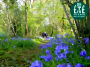 photo Sortie nature - La musique verte