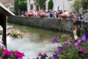 photo Visite guidée de Suèvres