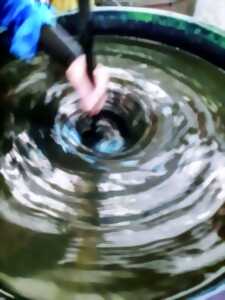 photo ATELIER ET CONFÉRENCE AUTOUR DU PASTEL