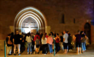 photo VISITE AUX LAMPIONS À AURIAC-SUR-VENDINELLE